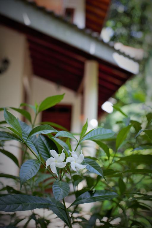 Binara Home Stay Polonnaruwa Εξωτερικό φωτογραφία