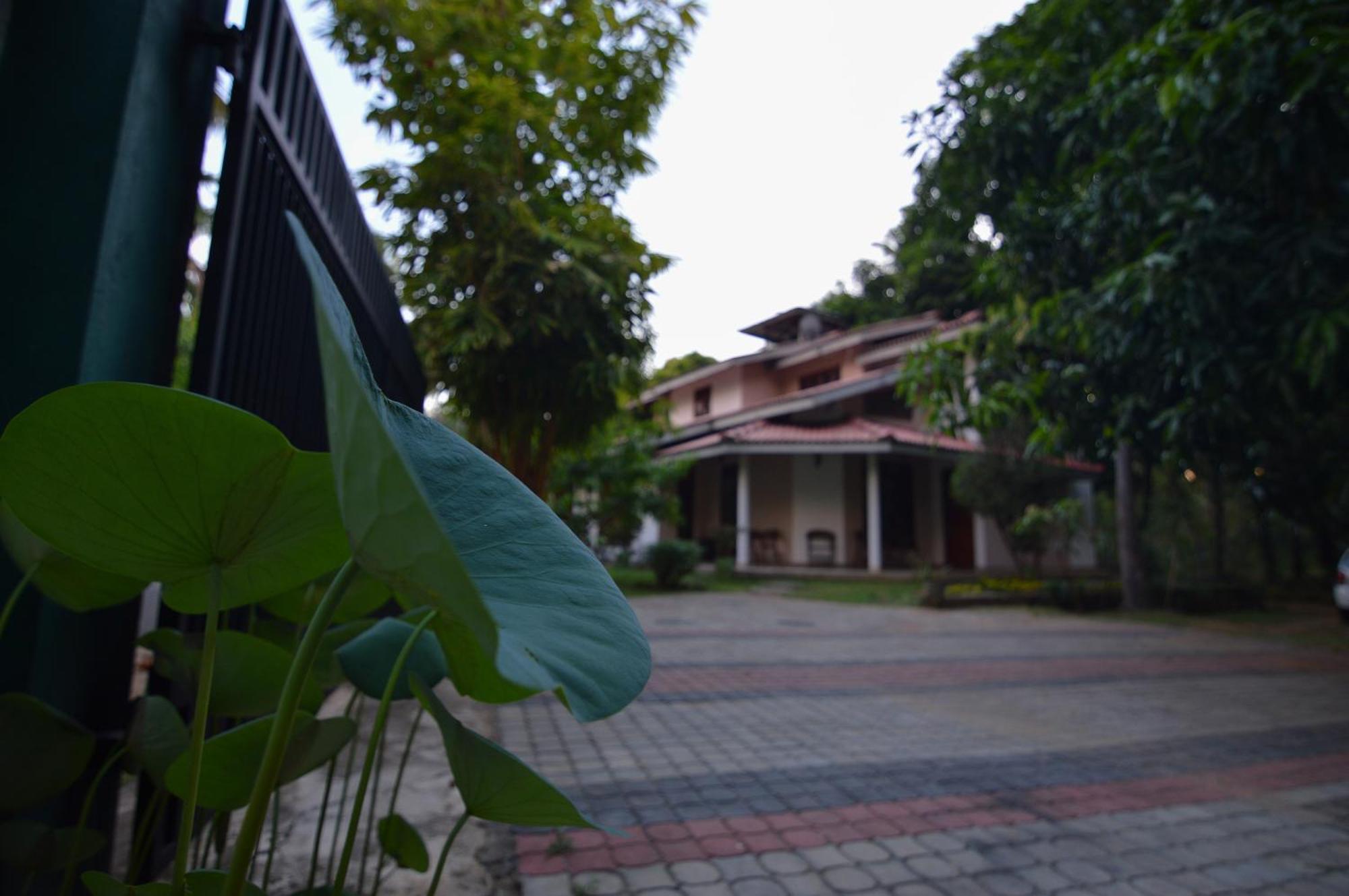 Binara Home Stay Polonnaruwa Εξωτερικό φωτογραφία