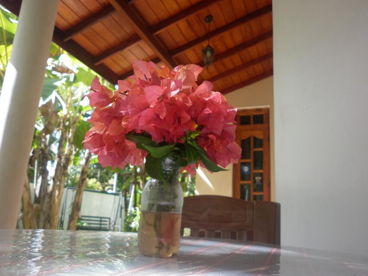 Binara Home Stay Polonnaruwa Εξωτερικό φωτογραφία